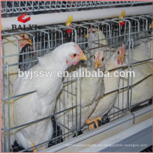 Jaula de pollo con capa de aves de corral para granjas de pollos de Costa Rica